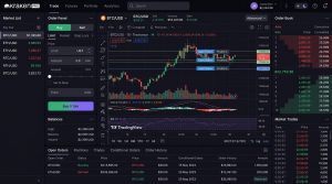 Kraken cryptocurrency exchange interface showing spot trading dashboard with order book and market data