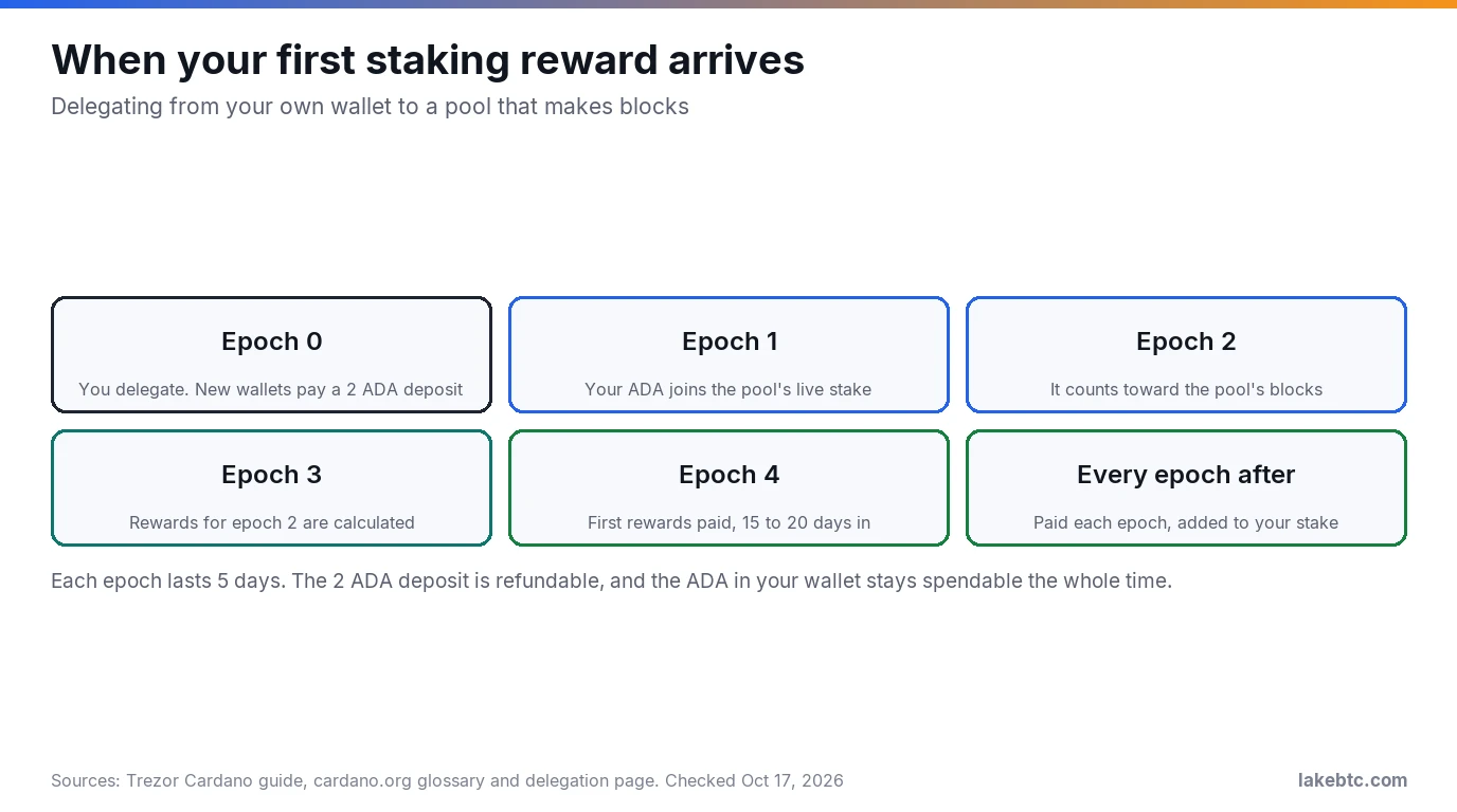 Timeline of Cardano epochs 0 to 4: delegate, stake goes live, counts for blocks, rewards calculated, first rewards paid